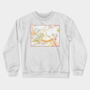 Pegasus Astrological Art Crewneck Sweatshirt